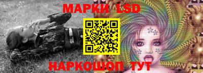 крисы Берёзовский