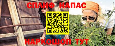 ешки Бийск