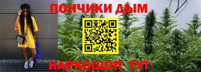 крисы Берёзовский