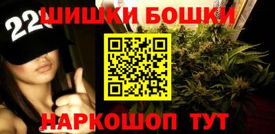 ешки Бийск