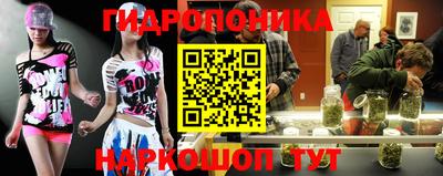крисы Берёзовский