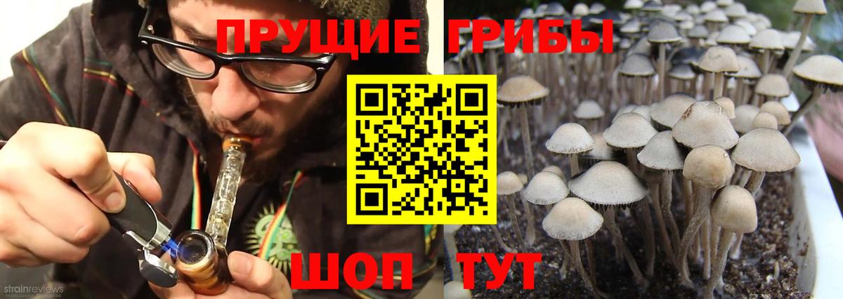 Псилоцибиновые грибы ЛСД  Вход с VPN  Заводоуковск 