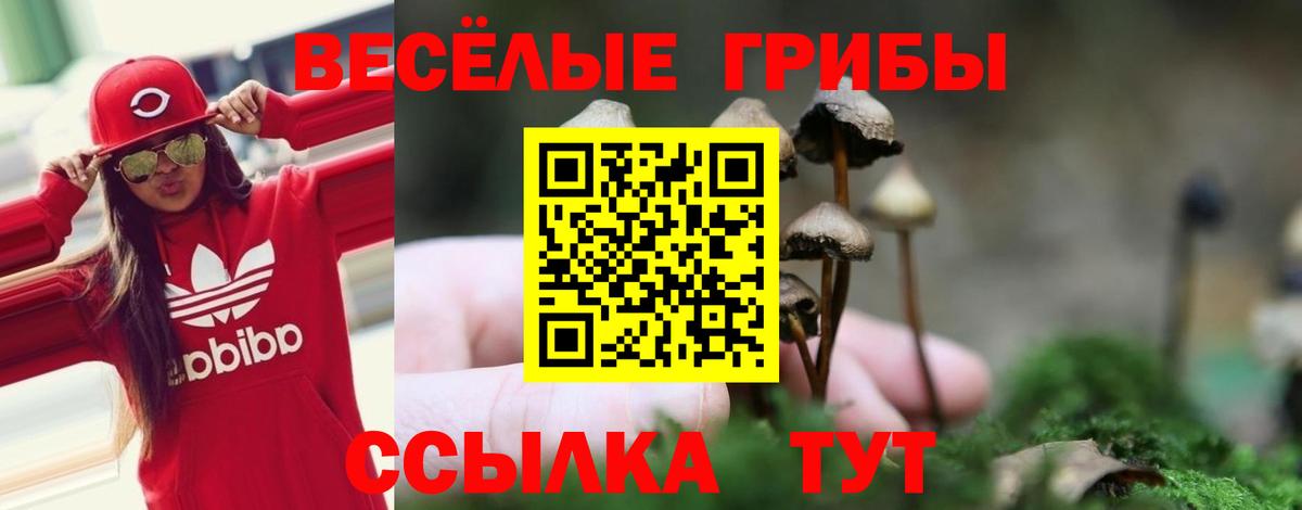 Галлюциногенные грибы GOLDEN TEACHER Заводоуковск